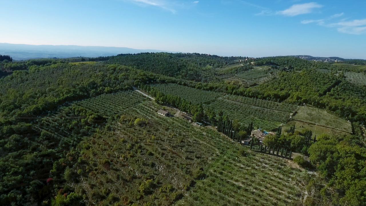 Podere Sagna 카스텔리나인키안티 외부 사진